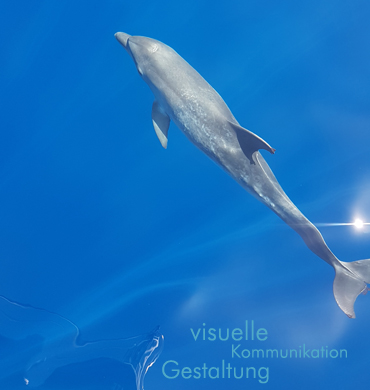 Verlag Neumann Gemeinsam online . offline